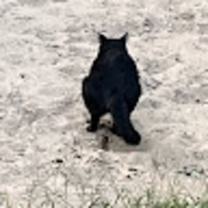 Meet your Posher, Nina